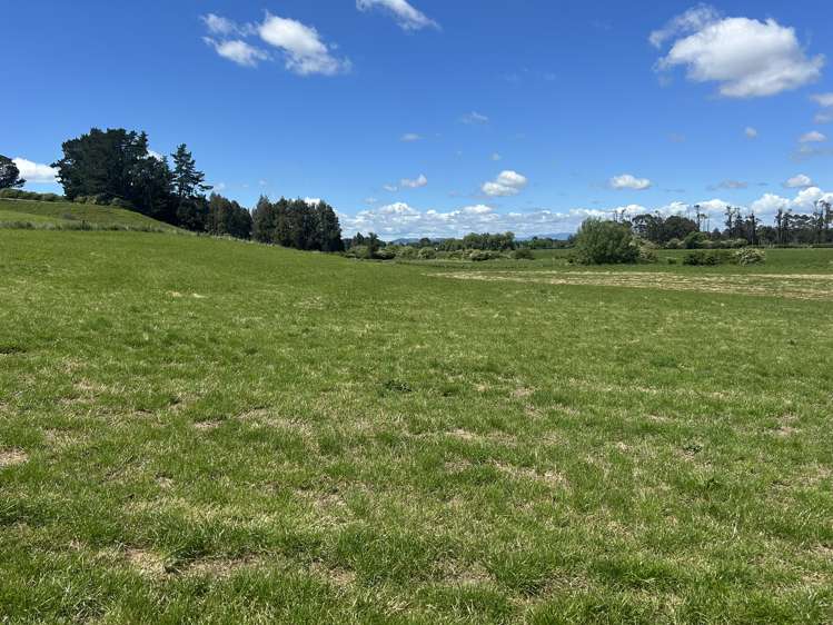 54 Puahue Road Te Awamutu_13