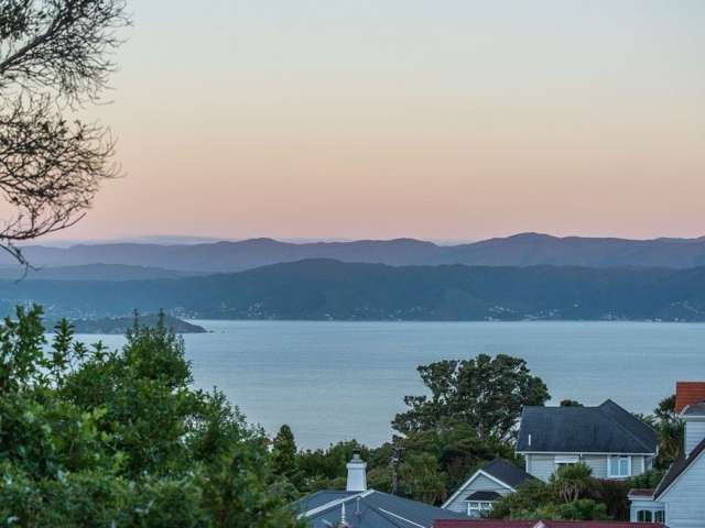 90 Pitt Street Wadestown_3