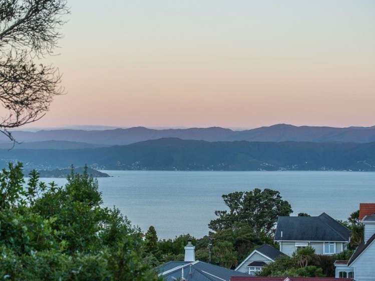 90 Pitt Street Wadestown_3