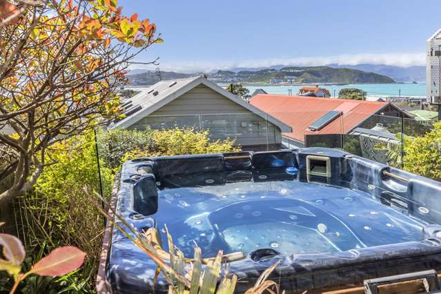 206 Sutherland Rd Lyall Bay_2