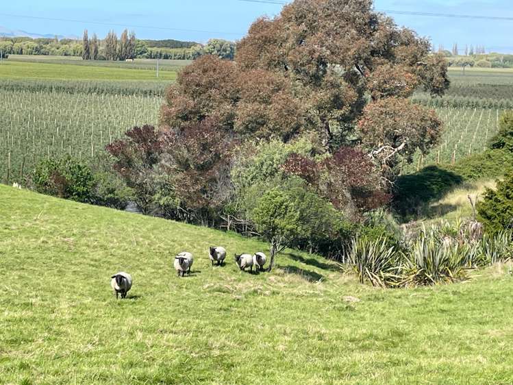 15b Omarunui Road Central Hawkes Bay Coastal_18