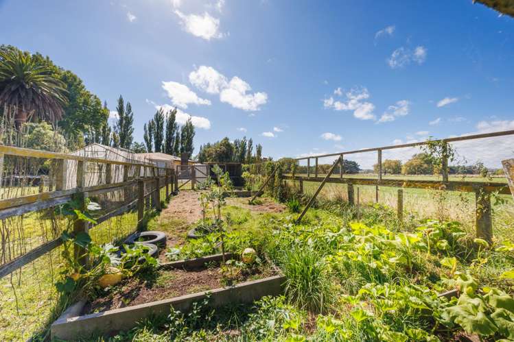 1136 Rangitikei Line Newbury_30