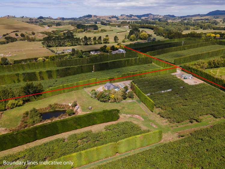 25a Fisher Road Waihi_19