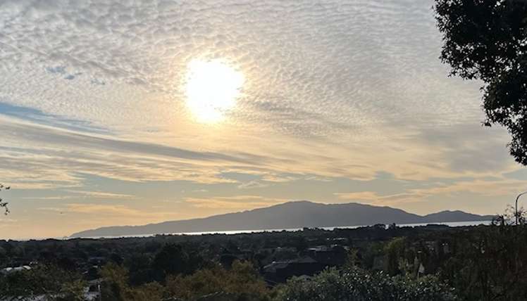 61 Kakariki Grove Waikanae_19