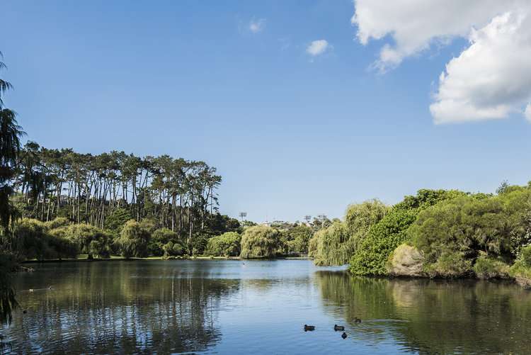 1r Bullock Track Grey Lynn_10