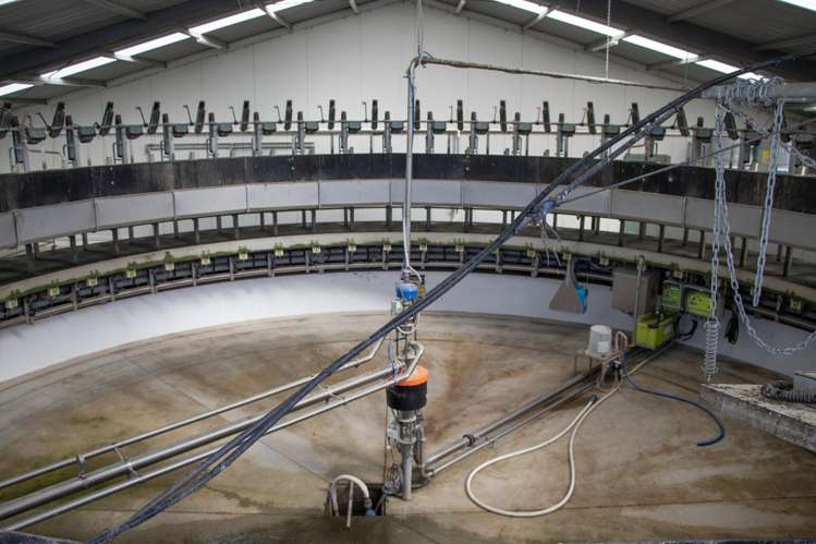 108 Klondyke Terrace Mayfield_41