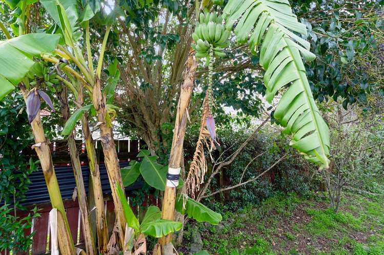 29 Claude Road Hillpark_20