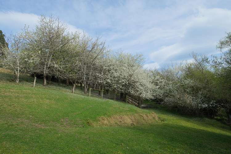 317 Chain Hills Road Chain Hills_2