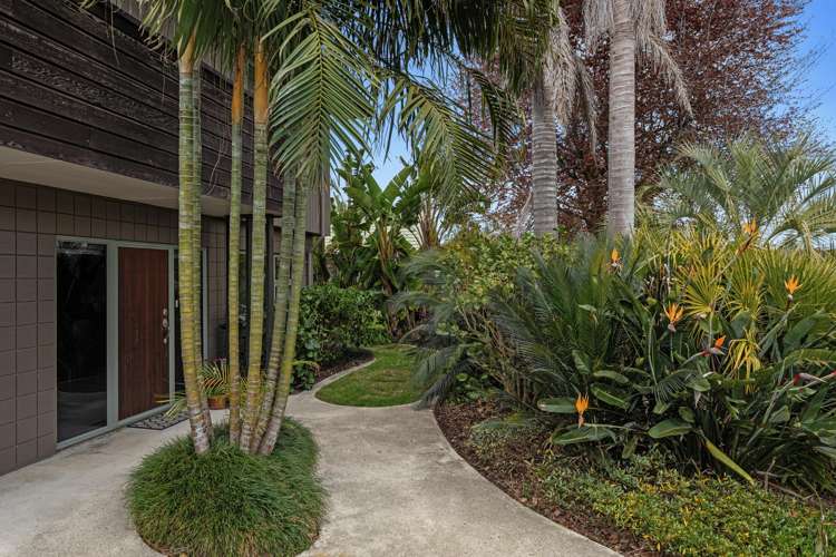 4 Walter Park Whakatane_26