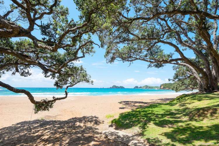 15 Moureeses Bay Road Whananaki_17