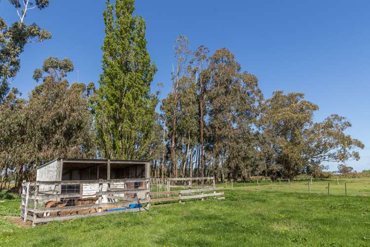 177 Selwyn Lake Road Leeston_7