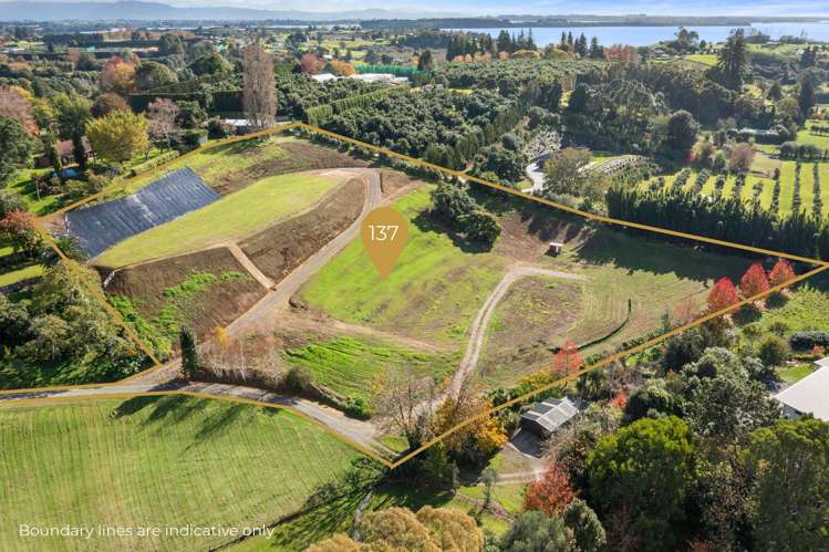 137 Lochhead Road Te Puna_10