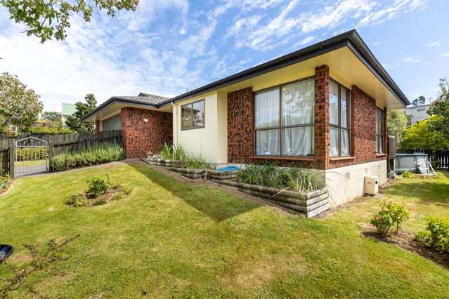 85 Heta Road Highlands Park_3