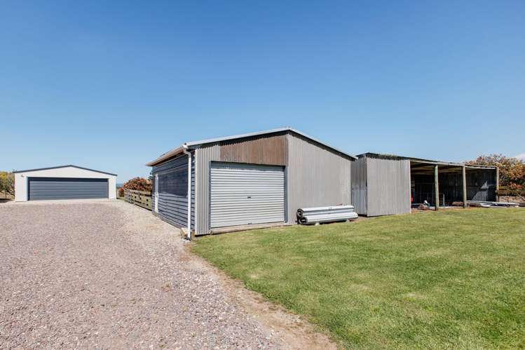 408a Awakeri Road Edgecumbe_41