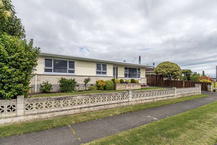 31 Plunket Street Tamatea_11