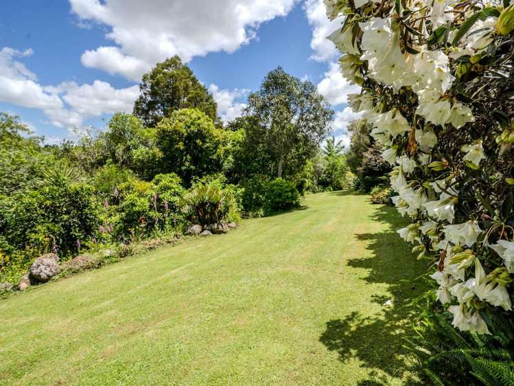 16 Limelight Lane Kerikeri_22
