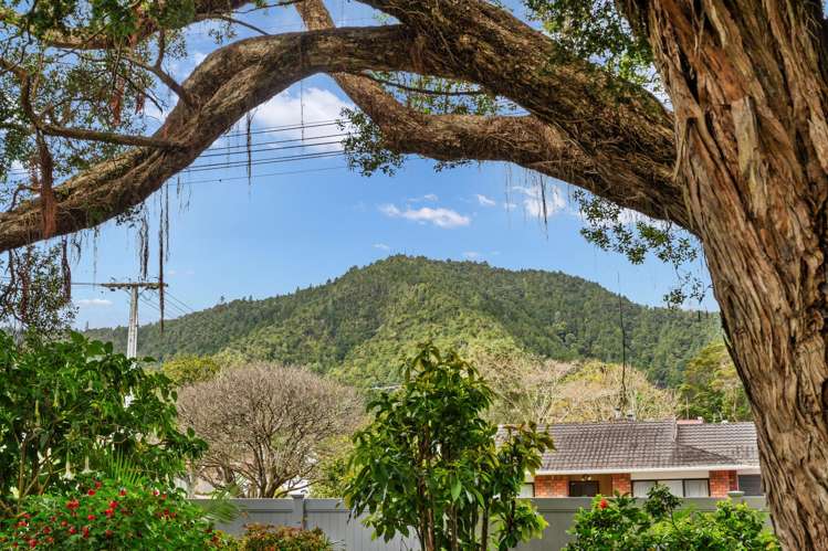 19 Mill Road Regent_16