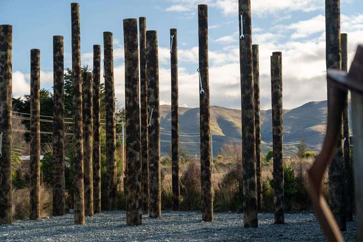 Stu Tripney is selling his standout house at 27 Avon Street, in Athol, Southland. Photo / Supplied
