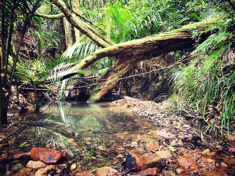 324 Trig Road Whitford_53