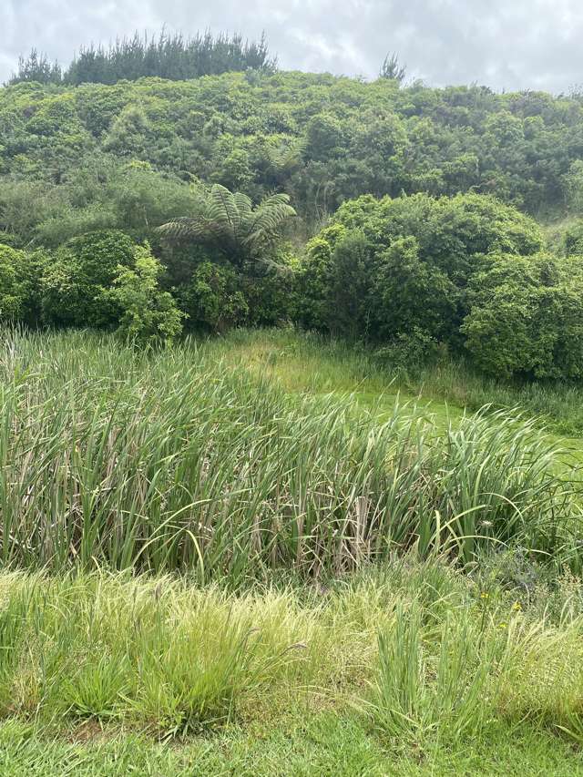 167 Wilson Road Kakaramea_1