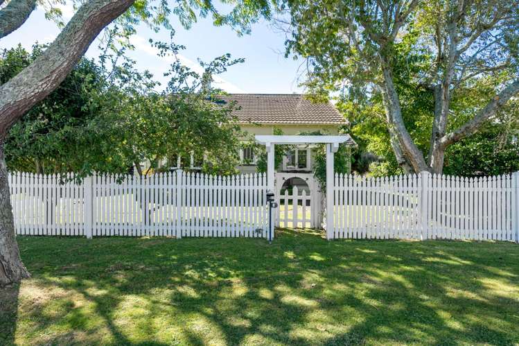 4 Williams Street Cambridge_33