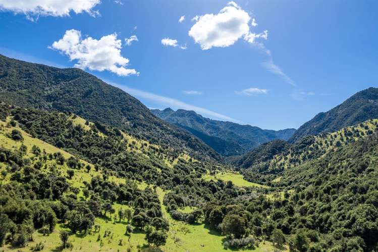 1180 Tyntesfield Road Waihopai Valley_7