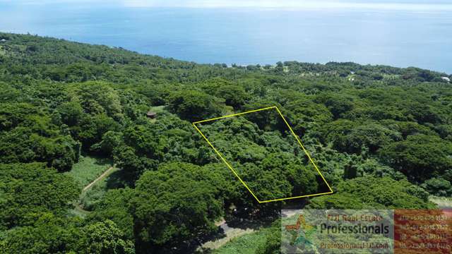 Address withheld Taveuni_1