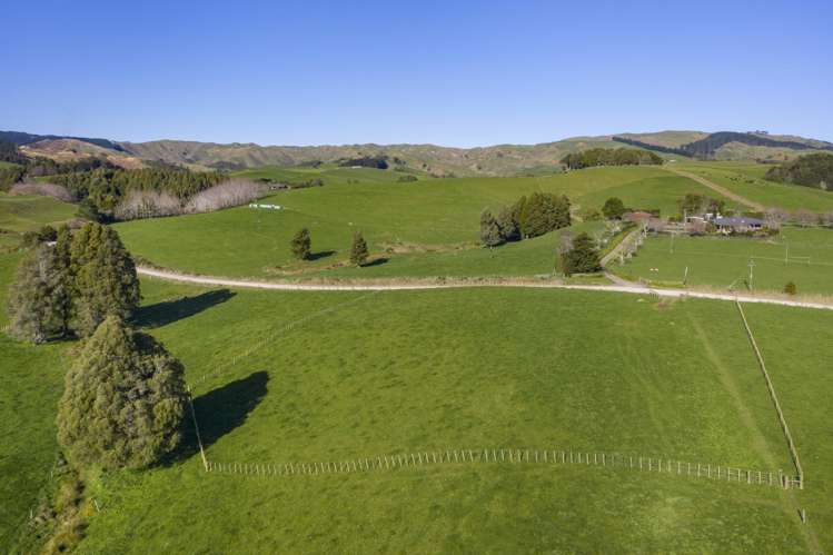 9A Pond Road Raglan_27