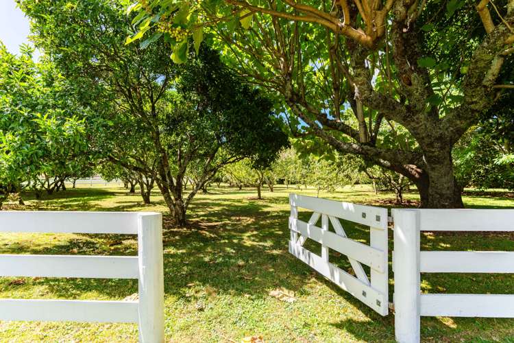 915 State Highway 14 Maungatapere_18