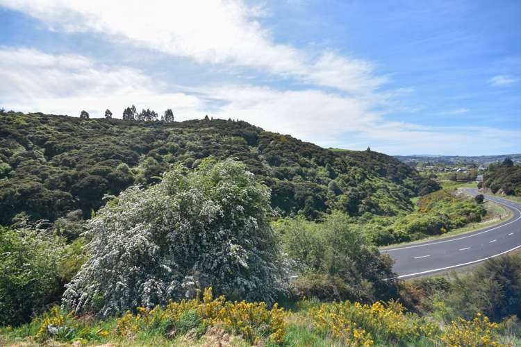 81 Morris Road Fairfield_22