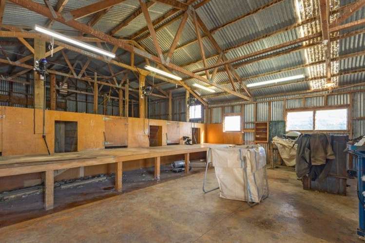 203 Robinson Road Cave_9