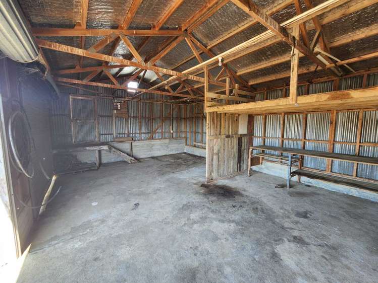 319 Ohautira Road Raglan_23