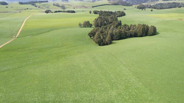 388 Matauri Bay Road Kaeo_32