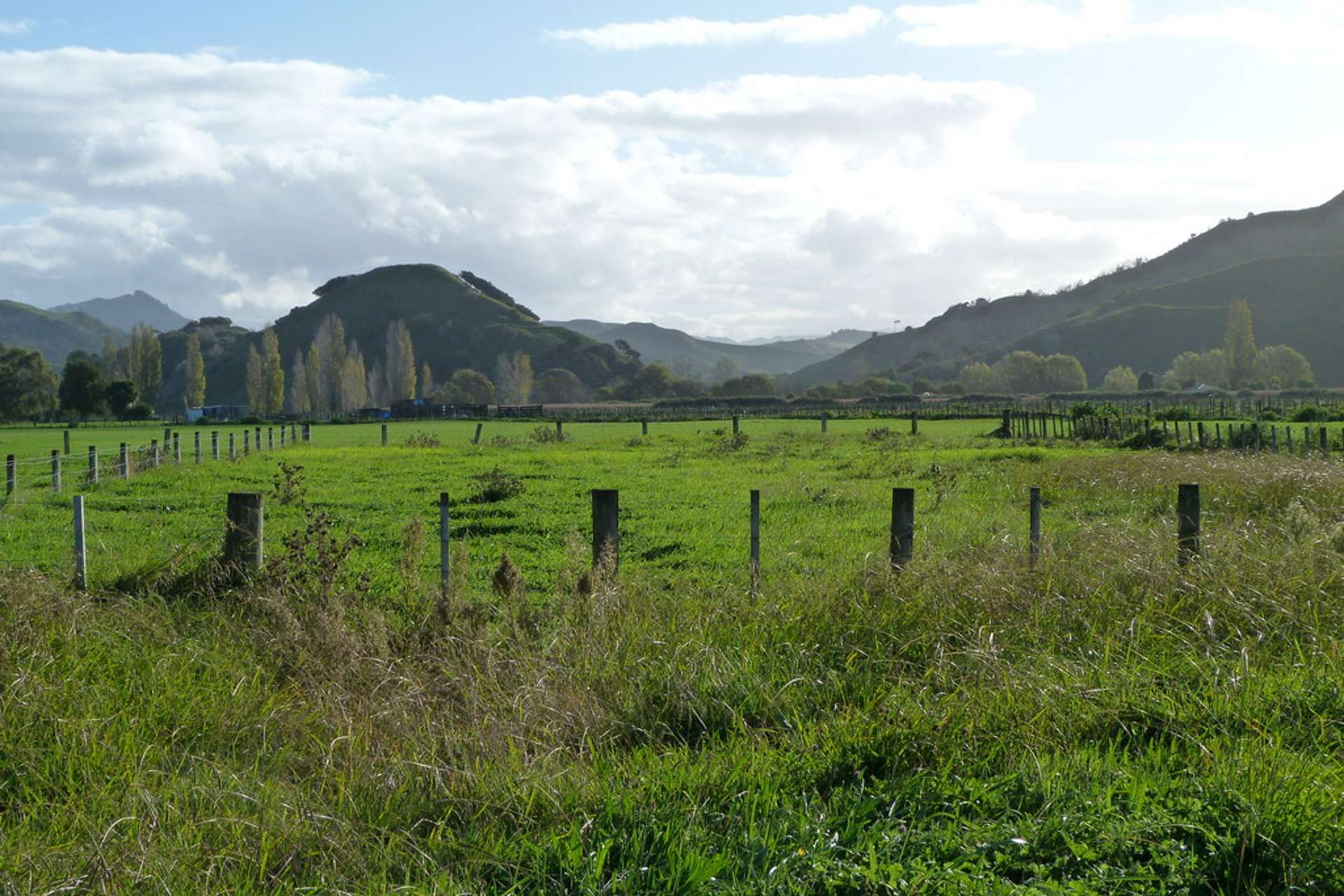 9 Parkinson Street Tolaga Bay_0