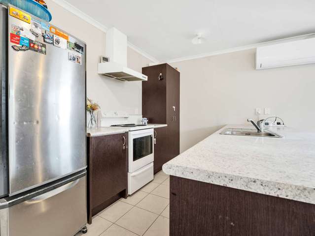3d Pitt Street Frankton_2