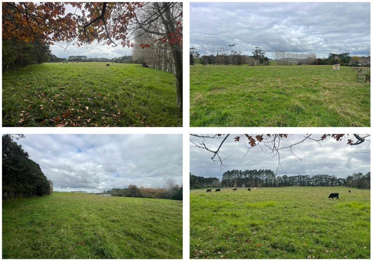 20-22 Brigham Creek Road Whenuapai_13