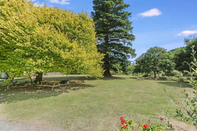 232 Martin Road Waerenga_24