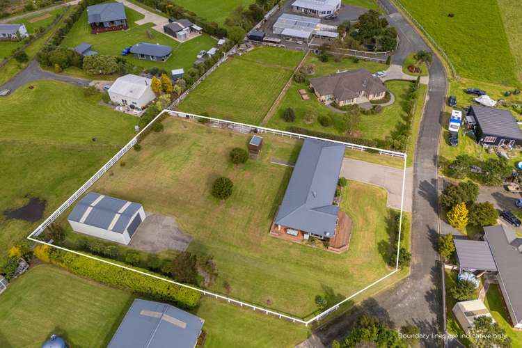 294 Albert Street Coromandel_7