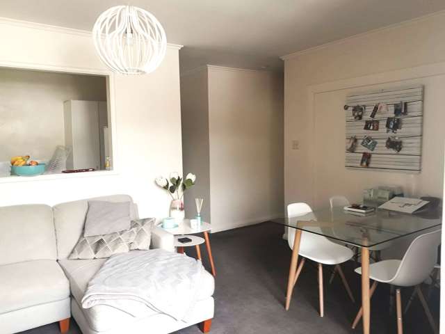 111B Hamilton Road Hataitai_3