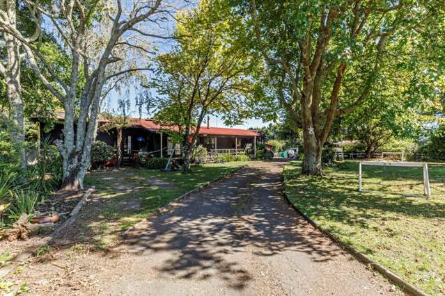 384 Matua Road Kumeu_3