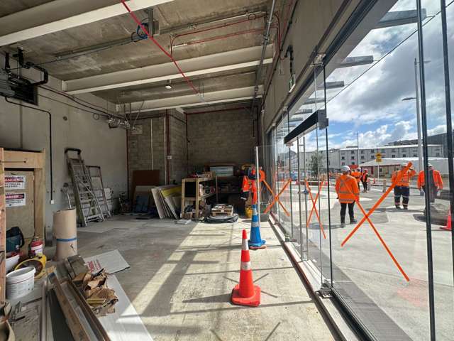 21 Ruru Street Eden Terrace_3