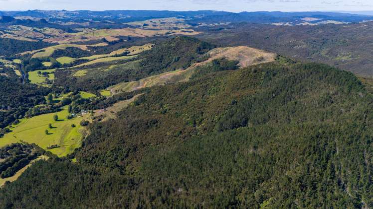 Lot 2 Goshen Valley Road Mangonui_5