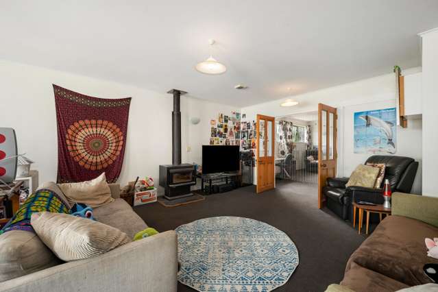 392 The Esplanade Island Bay_3