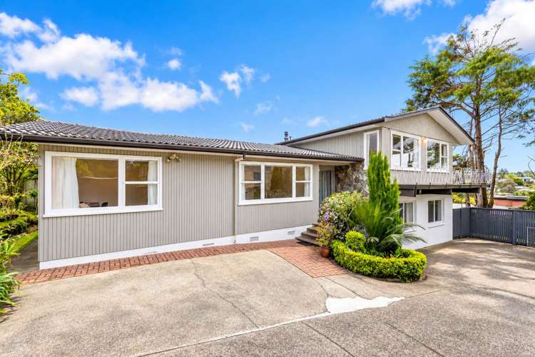 14 Tropicana Drive Mt Roskill_20