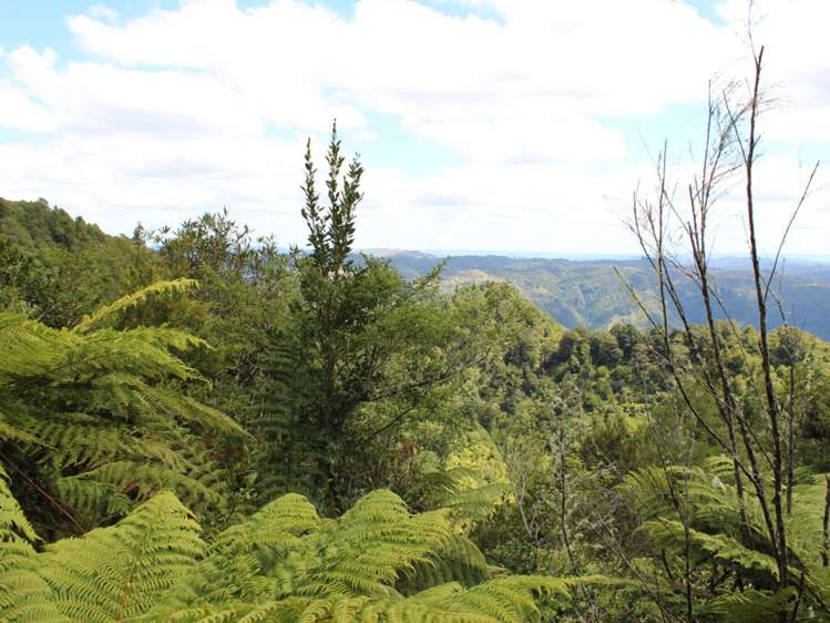 552b Cuff Road National Park_9