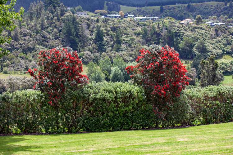 Lot 1 of Lot 16 Te Pamahue Drive Whangamata_8