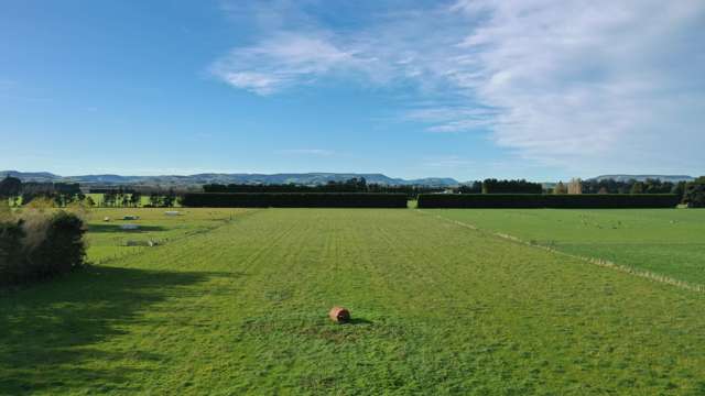 85 George Street Edendale_1