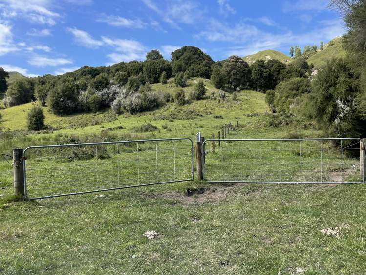 851 Awamate Road Frasertown_20