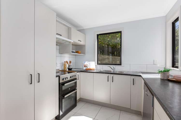 15 Boston Terrace Aro Valley_10