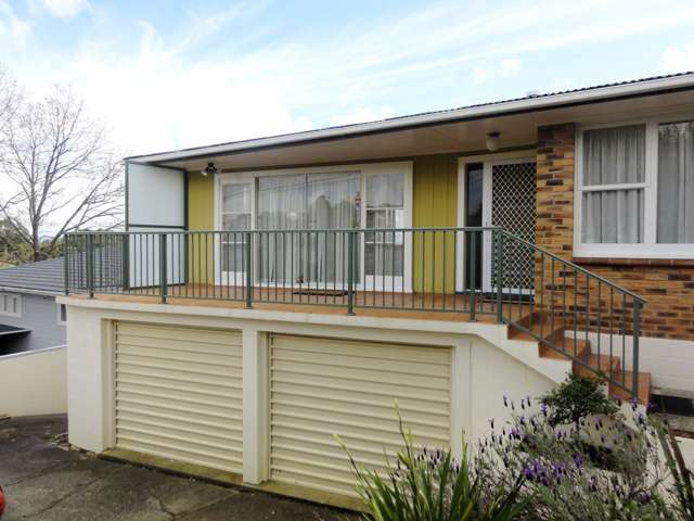 45 Anita Avenue Mount Roskill_3